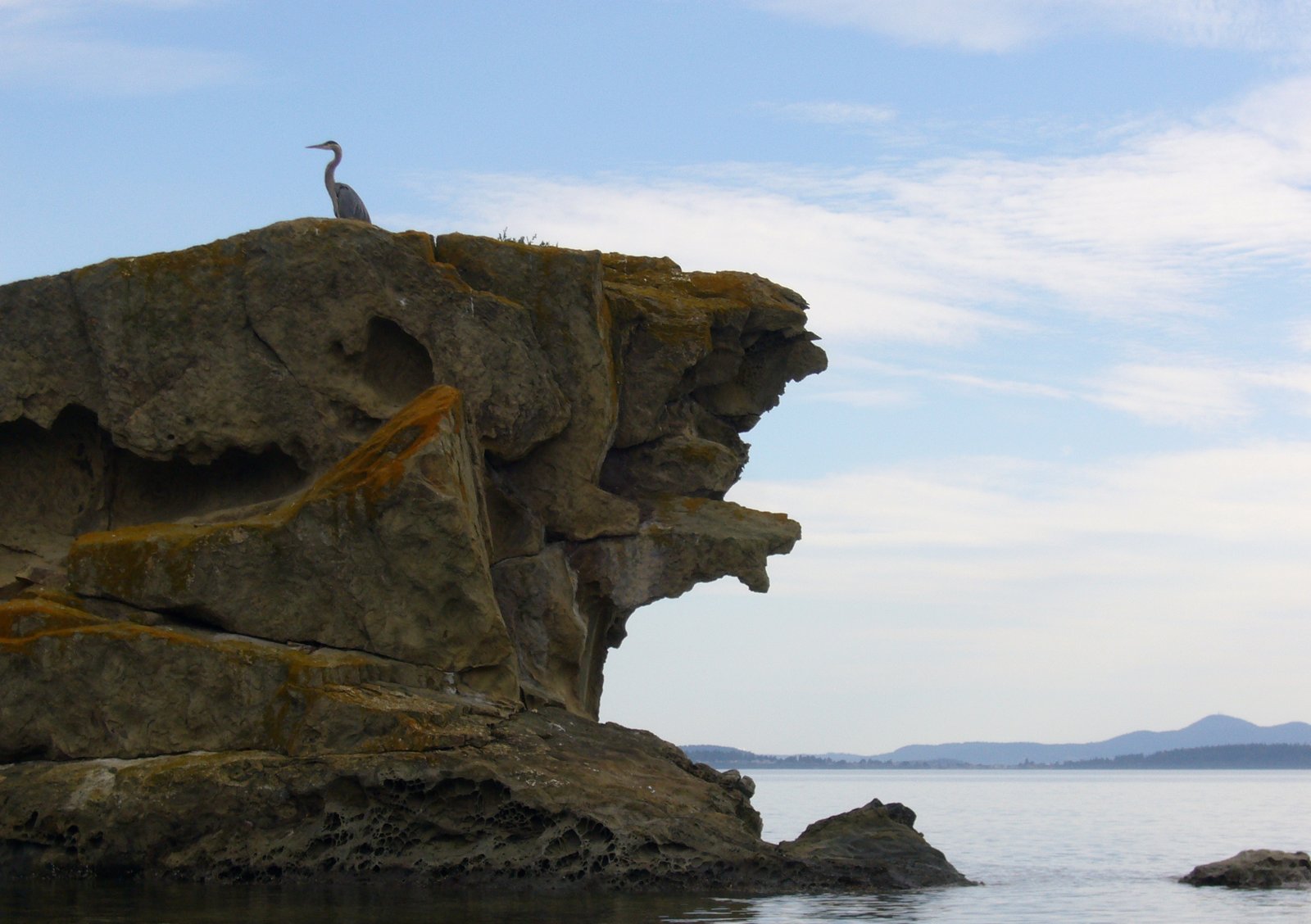 Great blue heron standing alone on a sandstone bluff above still water