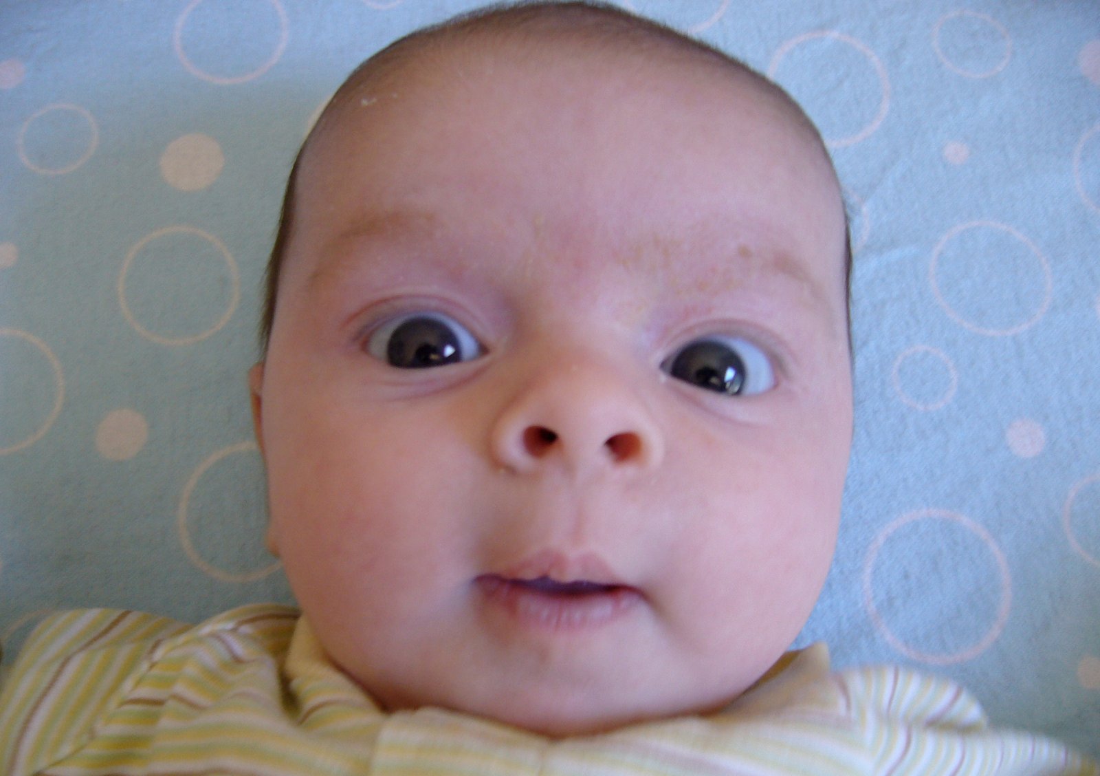 Infant lying on a blue blanket, eyes wide, looking directly at the camera